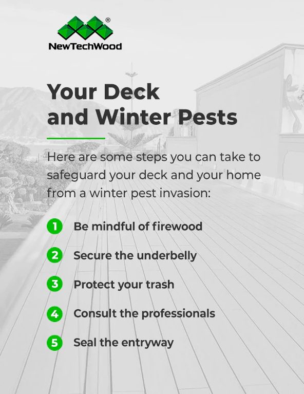 La meilleure terrasse pour l’hiver